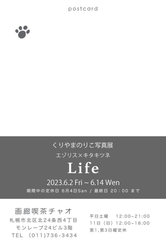 くりやまのりこ写真展 エゾリス×キタキツネ〜Life〜