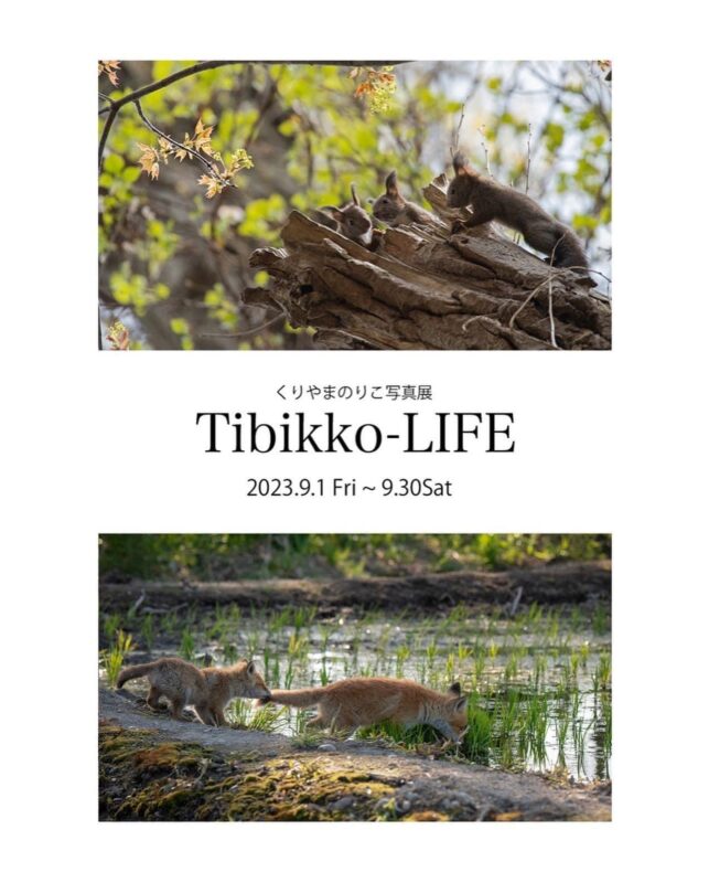 くりやまのりこ 写真展 Tibikko-LIFE